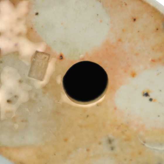 Image 1 of Paire de perroquets émaillés turquoise