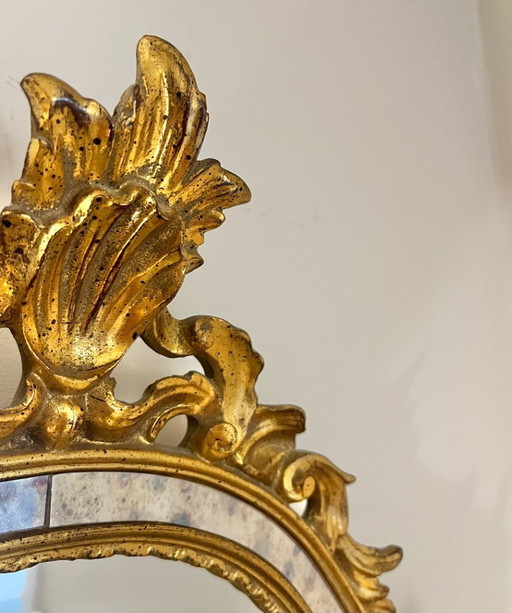 Luxury crest mirror DeKnudt 104x61cm