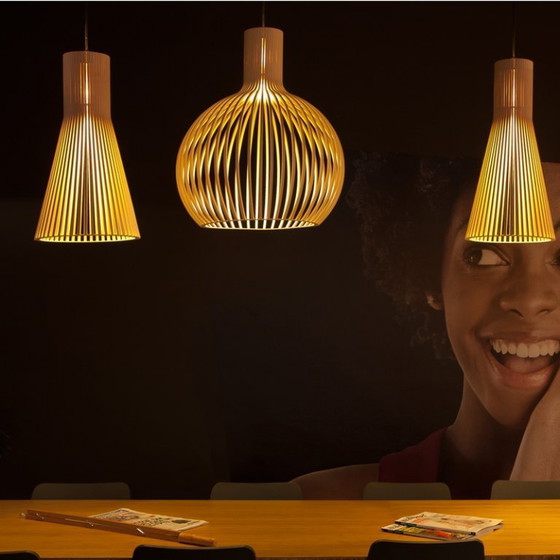 Image 1 of pendant lamp SECTO Birch