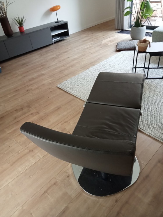 Image 1 of Libellule Bonaldo