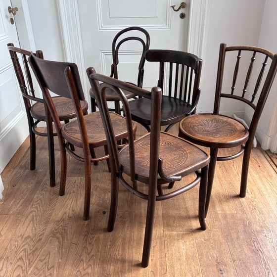set of 6 mix-match Thonet style chairs – Dining chairs, Wood (photo 6 of 17)