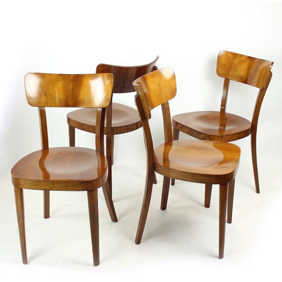Image 1 of Set Of 4 Classical Tatra Dining Chairs In Walnut, Czechoslovakia 1950s