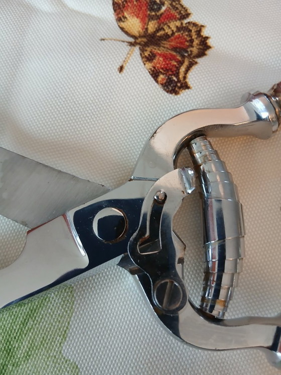 Image 1 of Wild/Gevogelteschaar, Verzilverd 