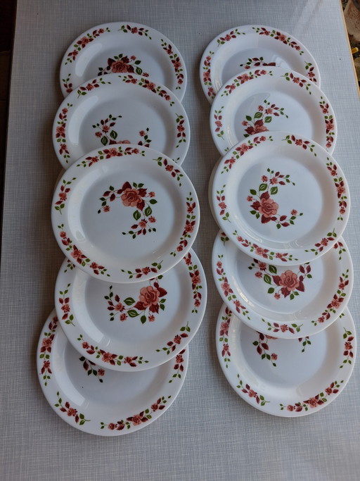 12 Arcopal Dessertteller