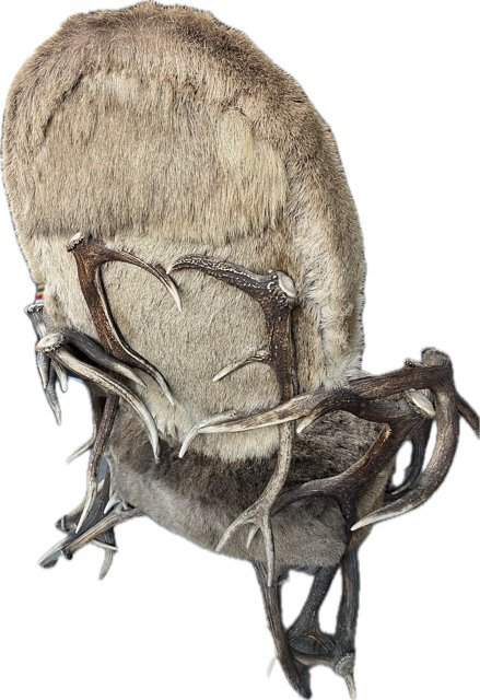 Paire de fauteuils anciens uniques en bois de cerf