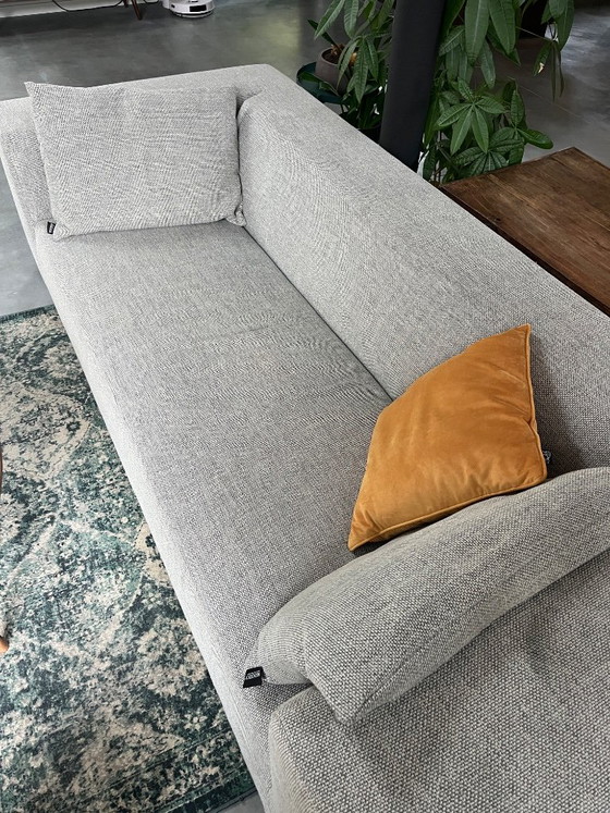 Koozo David Divano design 3 posti, Grigio mélange (incl. 2 cuscini), Divani 3 posti, Poliestere (foto 2 di 9)