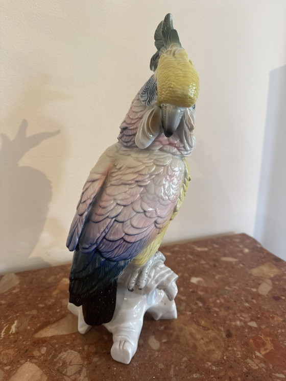 Porzellankakadu aus der Manufaktur Karl Ens – Dekorative Objekte, Porcelain (photo 4 of 7)
