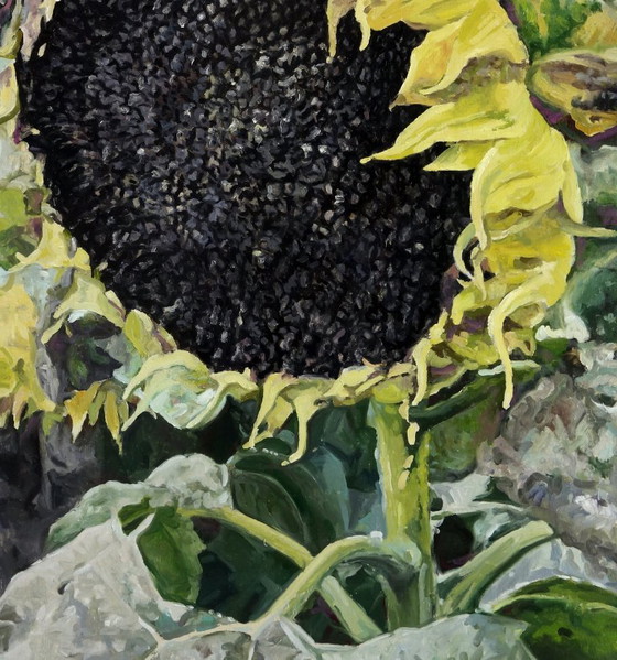 Pittura a Olio Originale Arte Contemporanea Simbolismo Semi di Girasole Per il Futuro Raccolto (photo 7 of 7)