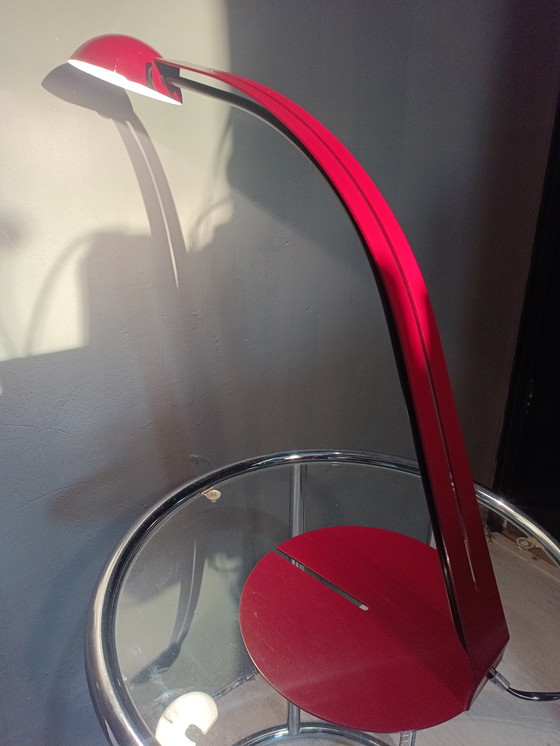 Image 1 of Herda B1412 Holland