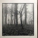 Fotografía firmada por Ralph Janowski, edición limitada 38/100