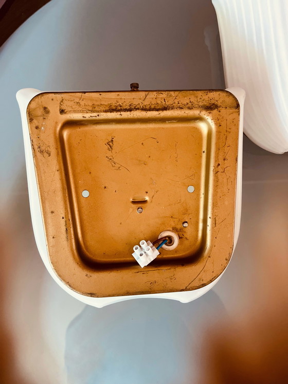 Image 1 of Set Glashütte Tulip Wall Lamps