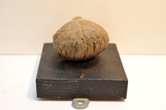 Pre-Columbian ceramic figurine, Decorative Objects, Beige (photo 3 of 6)