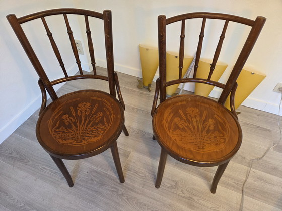 Image 1 of Thonet Mudson J. & J. Kohn Chaises de bistrot en bois courbé