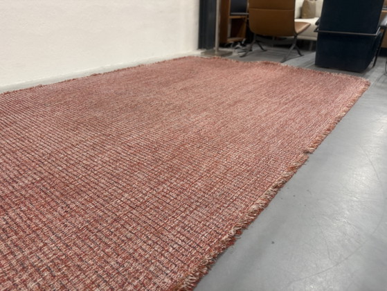 CSrugs Tweet Tappeto Rosso 220x320, CS Rugs, Tappeti, Altro, Multicolore (foto 3 di 13)