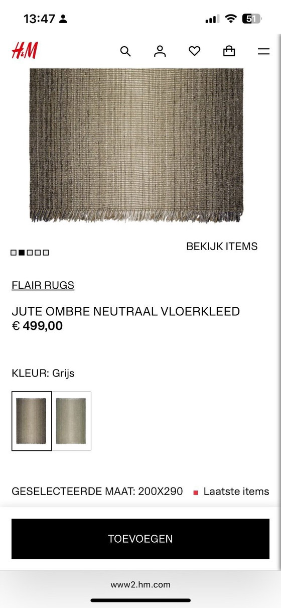 Image 1 of Neu H&M Jute Ombre Neutral Teppich (200x290 cm)