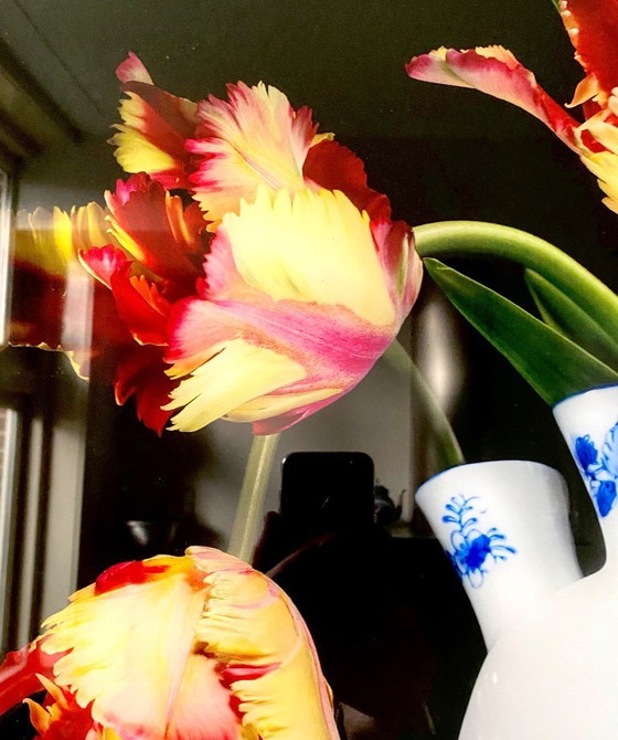 Image 1 of Vaso con tulipani pappagallo