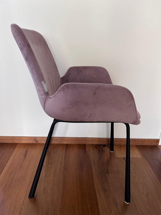 Zuiver Armchair 2 X – Metal, Velvet (photo 5 of 7)