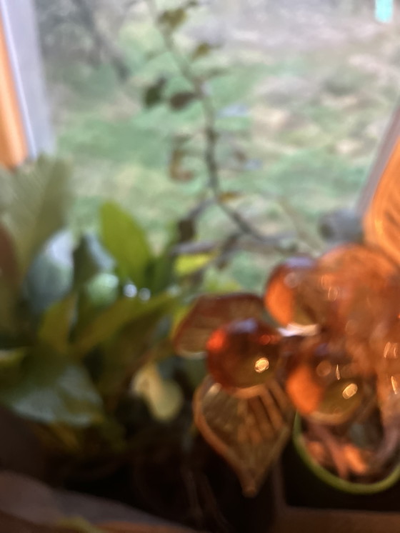 Image 1 of Lot of 20 Murano amber grape bunches