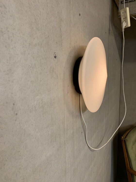 Image 1 of Discus van Raak Amsterdam B- 1411