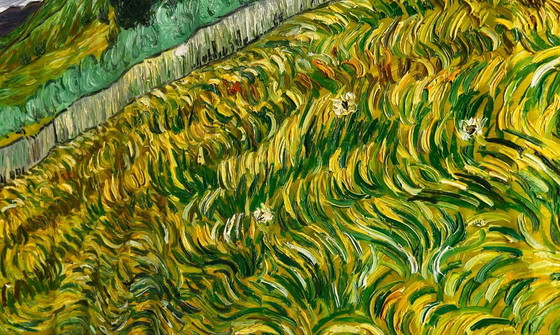 Image 1 of Vincent van Gogh – Landscape behind St. Paul's Hospital - Hand-painted interpretation | Oil on canvas (rolled up)