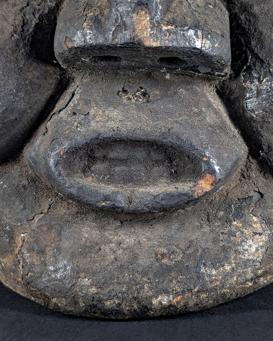 Stemma Janus Bangwa/Bamileke (Troh Night Society) Camerun - 1950 circa – Sculture, Wood (photo 10 of 20)
