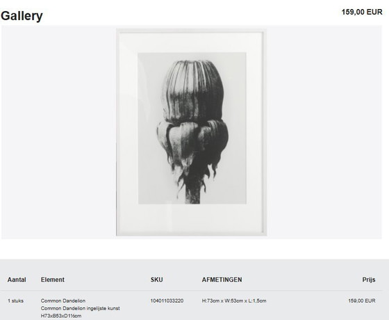 Image 1 of Boconcept - Common Dandelion Art Gallery