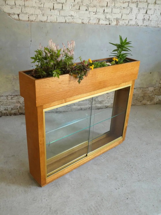 Verlichte plantenbak vitrine uit de jaren 50 – Glas, Vintage (photo 4 of 13)