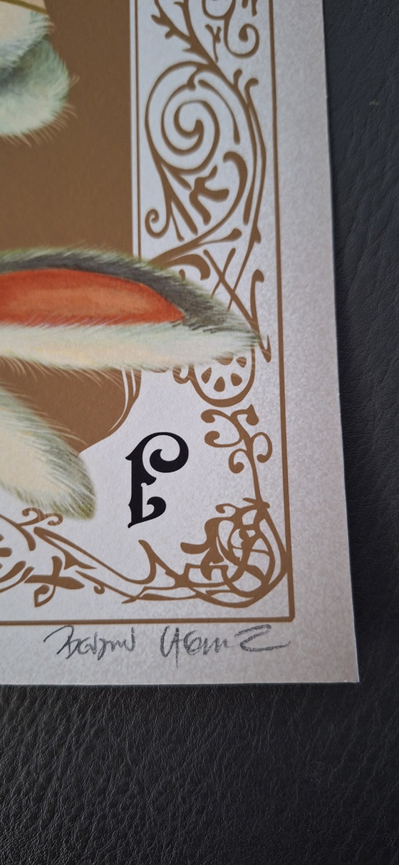 Image 1 of Signierter und nummerierter Kunstdruck von Benjamin Lacombe; Alice, das weiße Kaninchen
