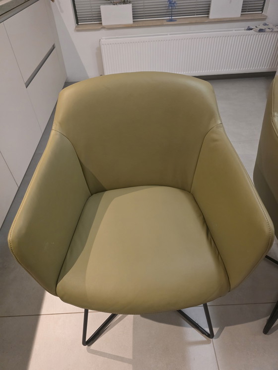 Image 1 of 2 sedie da pranzo Rolf Benz 640.