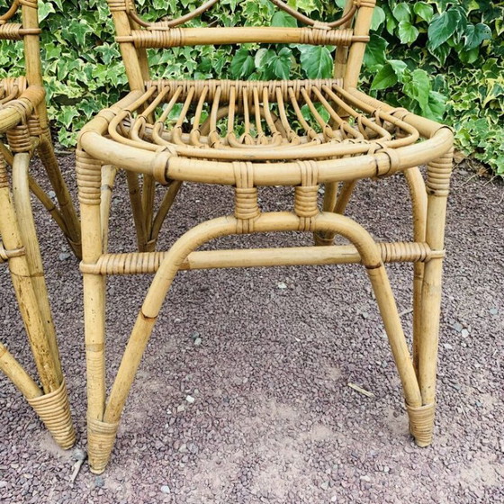 Image 1 of Paar rotan stoelen van Van Rohe