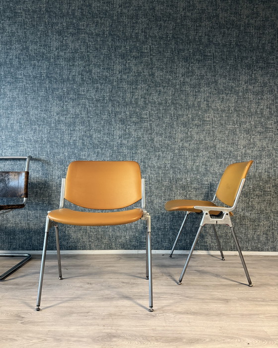 Image 1 of 2 sillas Dsc106 de Giancarlo Piretti para Castelli, década de 1960