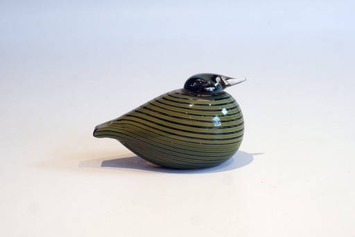 Iitala Oiva Toika Pajusotka