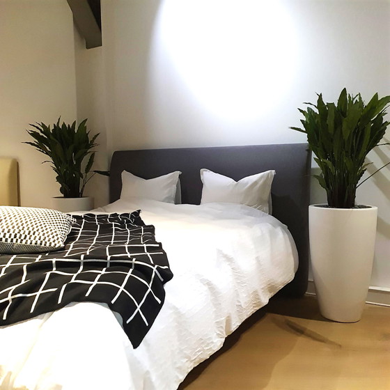 Image 1 of TEMPUR Relax bed Gray - 160x200