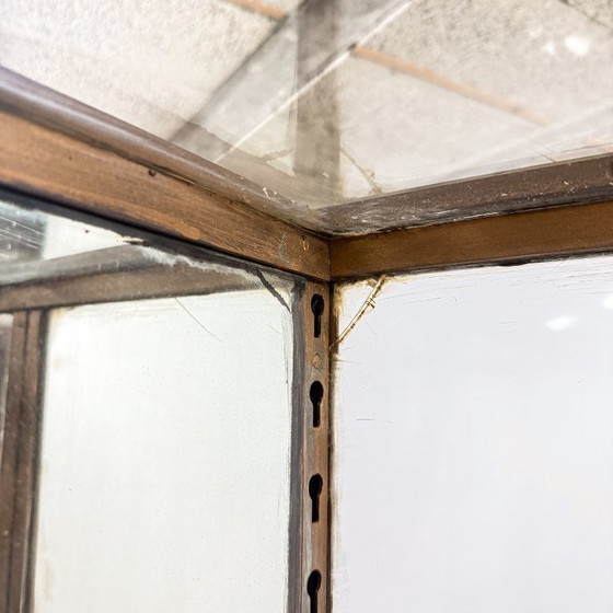 Image 1 of Grote antieke museum vitrinekast met gebogen glas – bronskleurig metalen vitrinekast