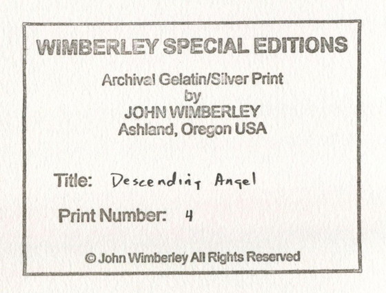 Image 1 of Silver Print Descending Angel 1981