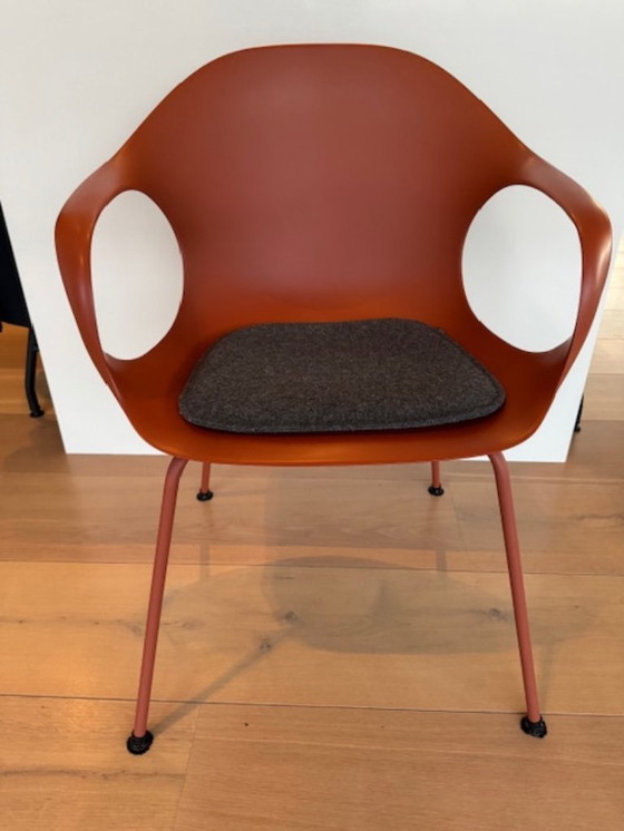 Image 1 of Sedia da pranzo Kristallia Elephant