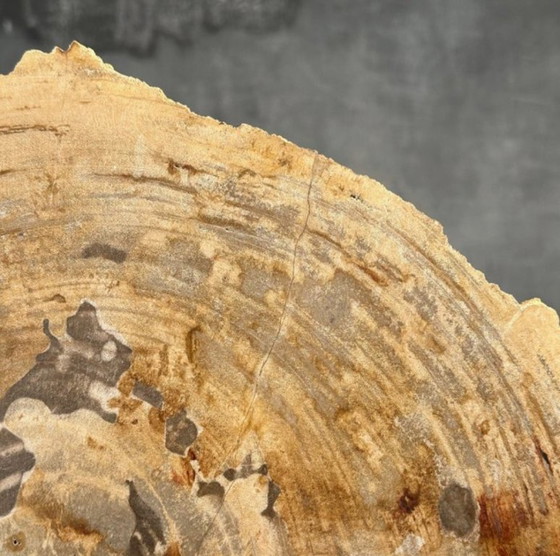 Image 1 of Bois fossilisé de Sooka, fabrication sur mesure standard (neuf)