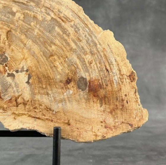 Image 1 of Bois fossilisé de Sooka, fabrication sur mesure standard (neuf)