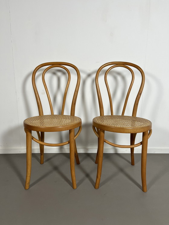 Image 1 of 2 sedie vintage Fameg Thonet in rattan