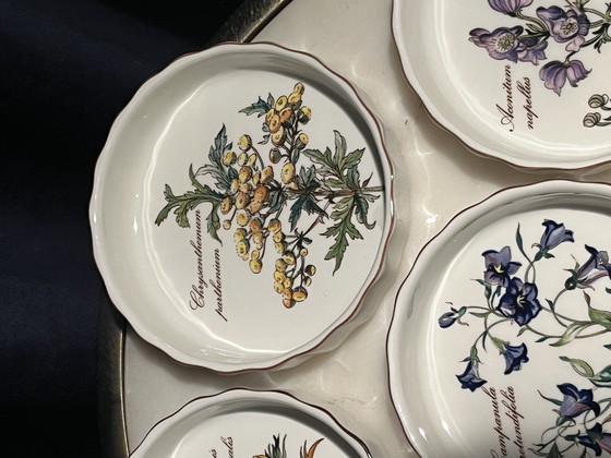 Image 1 of Juego (6) cuencos Villeroy & Boch Vilbofour Botanica