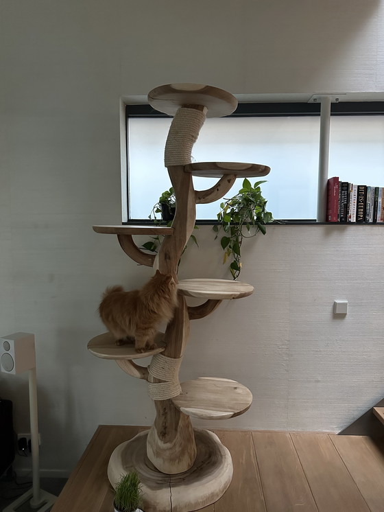 Image 1 of Árbol para gatos de madera, 2 metros de altura.