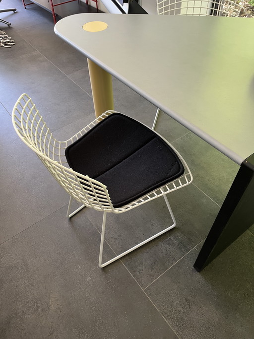 Knoll Bertoya Stühle