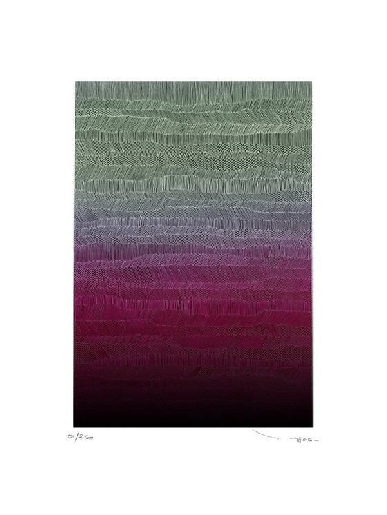 Image 1 of Tehos - Grand Carré Long - 2025 P 01