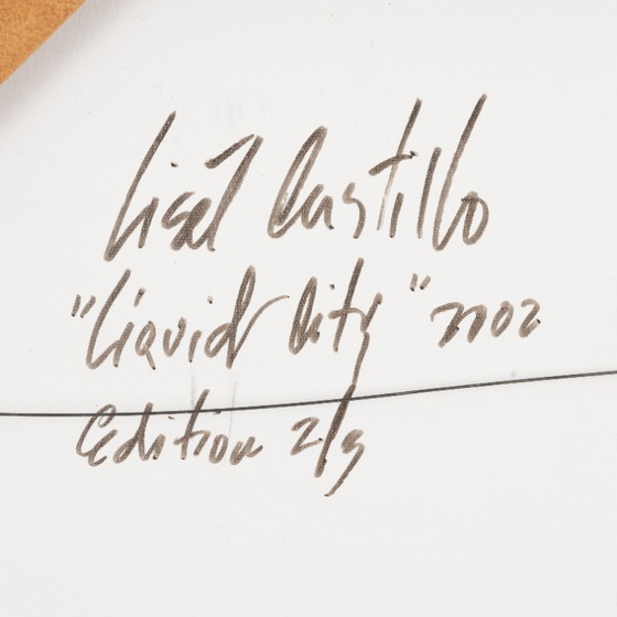 Image 1 of  "Ciudad Líquida"