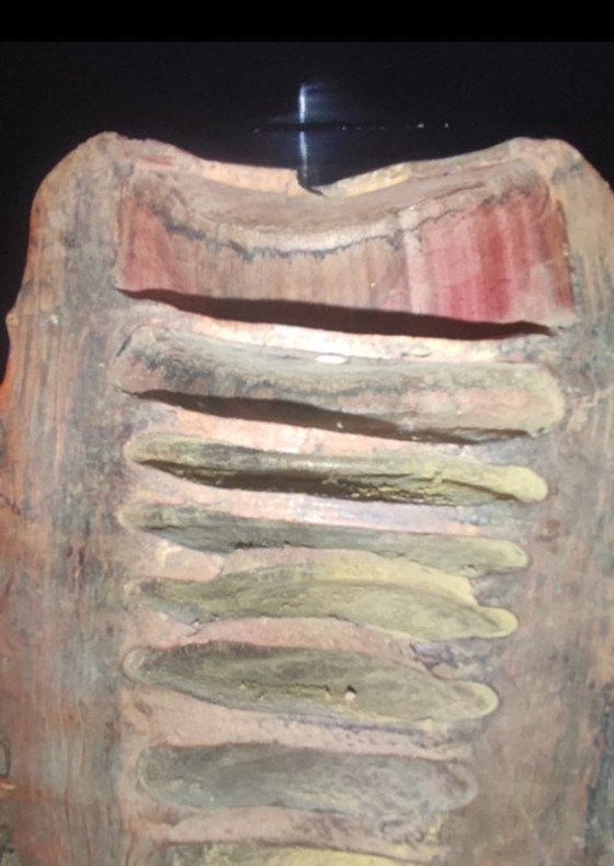 Image 1 of Chinees masker