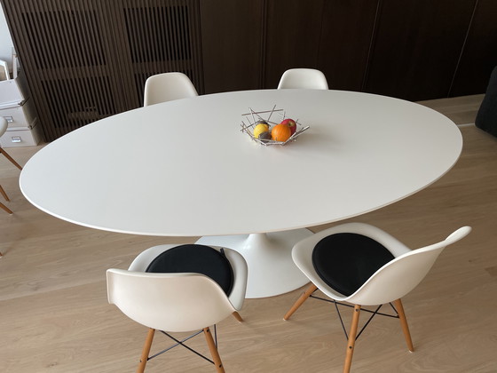 Image 1 of Knoll tafel ovaal