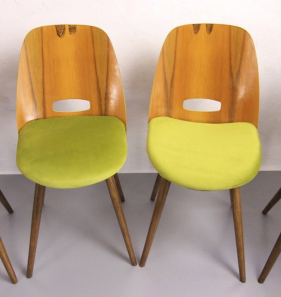 Image 1 of 4x Chaises Tatra "Spring Grass" (herbe de printemps)