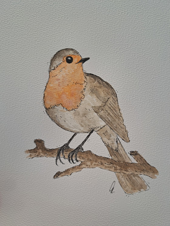 Image 1 of Watercolor painting of a robin | Blacklist