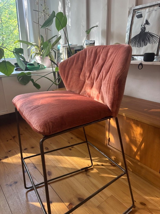 Saba Italia New York Bar Stool – Sergio Bicego – Rose Velvet – Barstools (photo 2 of 5)