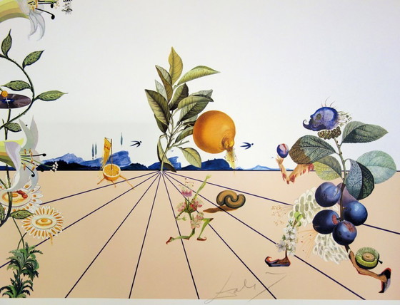 Salvador Dalí: Flordali I, Litografía original firmada – Litografías y grabados, Paper (photo 4 of 7)